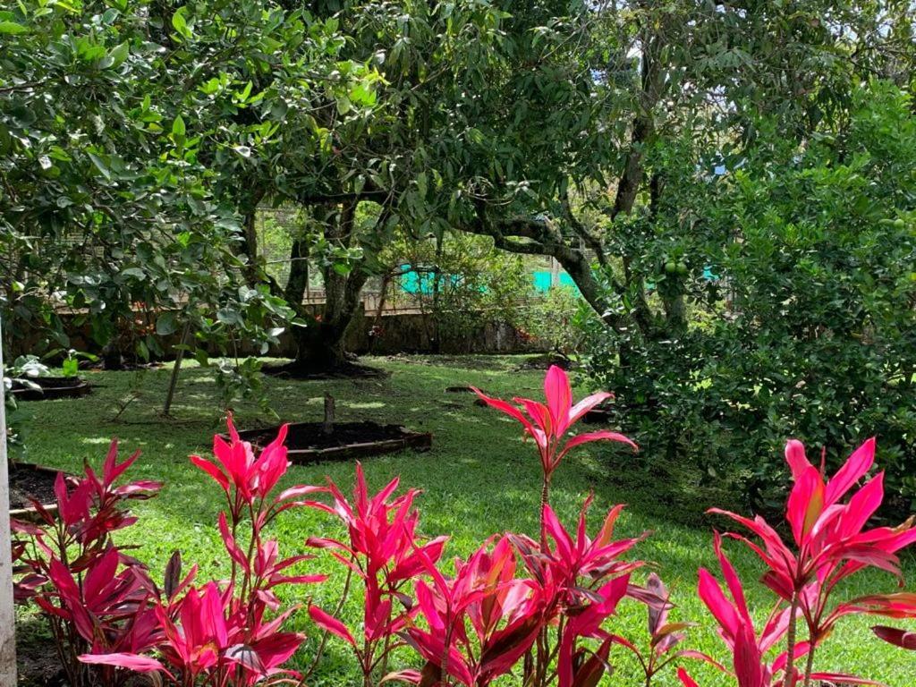 La Toscana Villa Chinauta